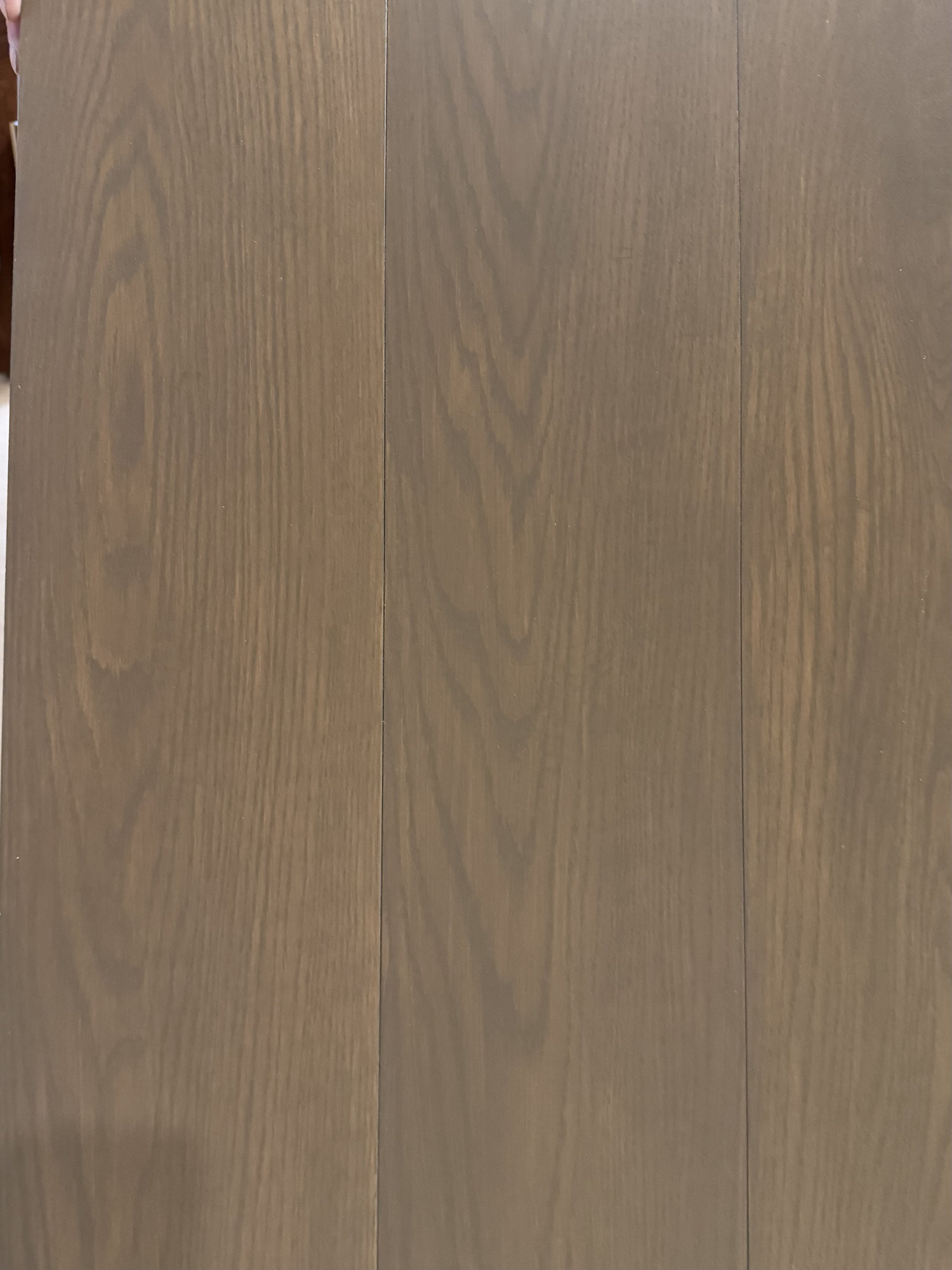Sorrell - Red Oak